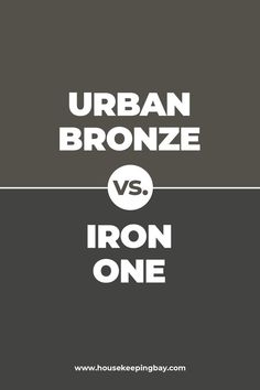 Urban Bronze Paint color vs Iron one by Sherwin Williams Urban Bronze Wall Color, Iron Ore Home Exterior, Urban Bronze And Alabaster, Wherein Williams Urban Bronze, Urban Bronze Paint Color, Sherman Williams Urban Bronze, Sherwin Williams Bronze Urbane