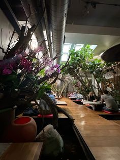 there are many potted plants on the counter in this room with people sitting at the table