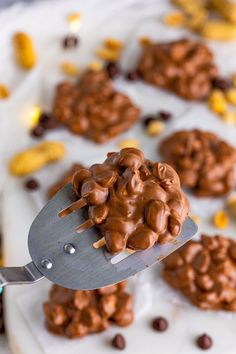 a spoon full of chocolate cookies on top of a white plate with corn kernels in the background