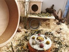 a cat house with plants and rocks on the ground