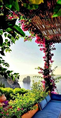 an outdoor seating area with flowers and plants on the ground next to the ocean,