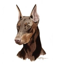 a painting of a doberman dog on a white background