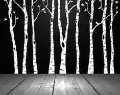 black and white photograph of birch trees in the dark