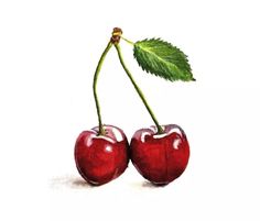 two cherries with green leaves on top of each one, sitting side by side