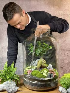 Terrarium Scene, Plants In Jars, Plants In Bottles, نباتات منزلية, Succulent Garden Design, Plant Care Houseplant, Garden Vases