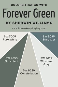 Colors That Go With Forever Green SW 9653 She Twin Williams Succulent, Colors That Go With Sw Succulent, Sw Succulent Paint Color, Sw Succulent Paint, Sherwin Williams Succulent Green, Sw Succulent, Sw 7005 Pure White, Master Remodel, Succulent Painting