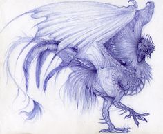 a drawing of a blue bird with long wings and tail feathers, standing on its hind legs