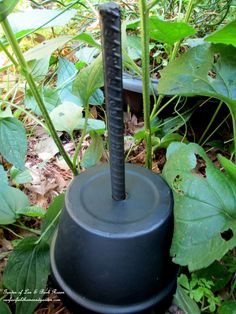 a black object sitting in the middle of some plants