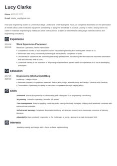 a professional resume with no work experience