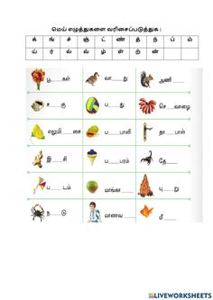 an english worksheet with pictures and words for children to learn in the classroom