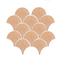 six scallop shells are arranged in a row