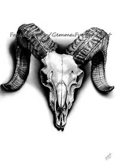 an animal skull with large horns on it's head