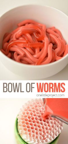 the bowl of worms is being held by a brush