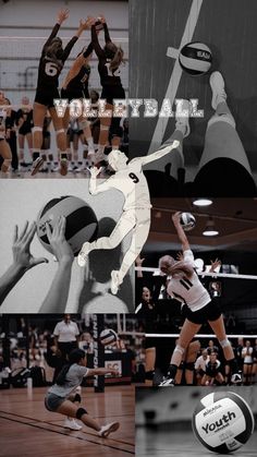 collage of volleyball players in action and onlookers behind the net with words that say volleyball