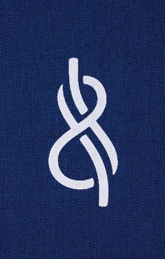 the letter s is shown in white on a blue background