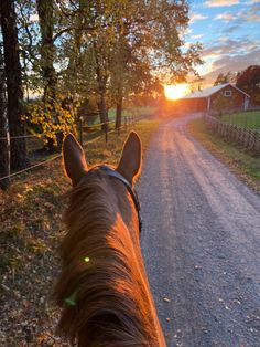 the back end of a horse's head as it walks down a country road