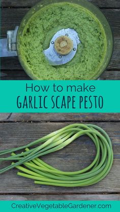 how to make garlic scape pesto in a food processor with text overlay