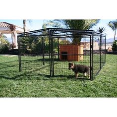 a dog in a cage on the grass