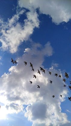 ☁🌤 Clouds Photography Sky Nature, Cloud Pictures Sky, Blue Sky Clouds Photography, Blue Sky Pictures, Sky Images Photography, Nature Photography Green, Sky Blue Aesthetic, Blue Sky Aesthetic, Cloud Pictures