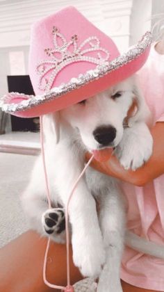 a white dog wearing a pink cowboy hat