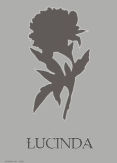 a flower that is sitting on top of a gray background with the words lucinda