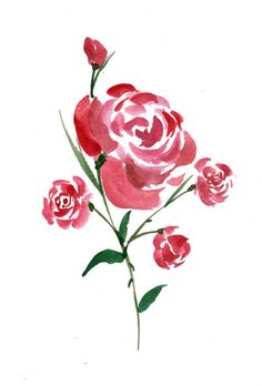 watercolor painting of pink roses on white paper