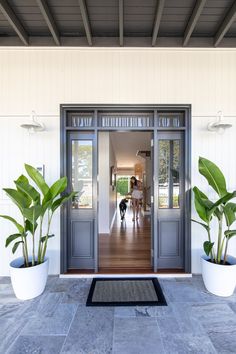 a dog is standing in the front door of a house with two large potted plants