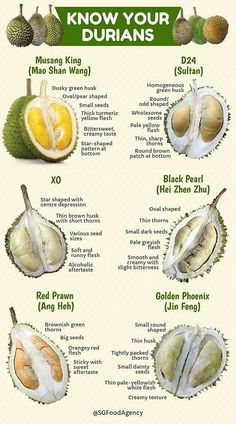 the different types of durians are shown in this poster, with information about them