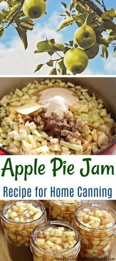 apple pie jam recipe for home canning