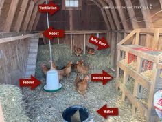 several chickens in a barn with their names labelled