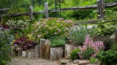 the garden is full of colorful flowers and plants, including pink and purple blooms in bloom