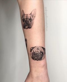 two small pug tattoos on the arm