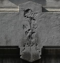 a close up of a flower on the side of a building