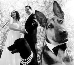 a bride and groom pose with their dog