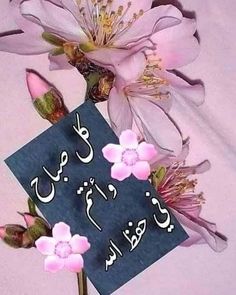 pink flowers with arabic writing on a blue background