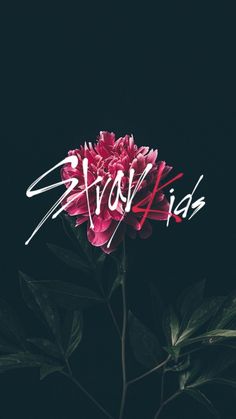 a pink flower with the word stay fresh written on it