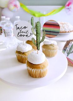 three cupcakes on a white plate with a sign that says taco without love