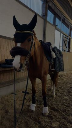 a brown horse wearing a saddle and bridle