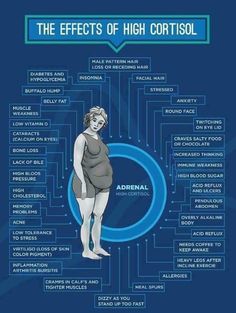 Cortisol Detox Diet, Low Cortisol, High Cortisol, Adrenal Health, Cortisol Levels, Adrenal Fatigue, Thyroid Health