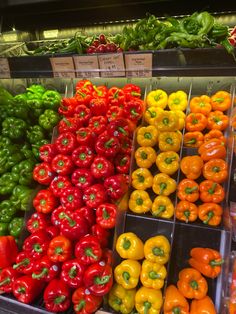 many different types of peppers on display in a store