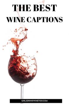 the best wine captions from greshin winescoote com, with an image of a glass of red wine being poured into it