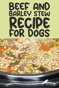 Beef and Barley Stew Dog Food Recipe Dog Meal Ideas, Beef Stew For Dogs, Stew For Dogs, Beef And Barley Stew, Barley Stew, Beef And Barley, Recipe Beef, Natural Dog Food