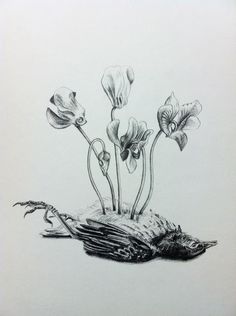 an ink drawing of flowers growing out of a bird's nest on the ground