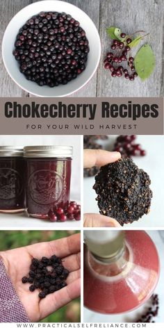 several pictures with different types of berries in them and the words chokeberry recipes for your wild harvest