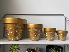 four pots on a shelf with plants in the corner and one pot has gold speckles