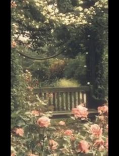 a park bench surrounded by flowers and trees