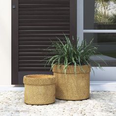 two planters sitting next to each other in front of a door