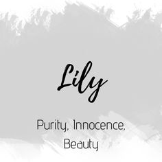 the words lily written in black ink on a white and gray background with brush strokes