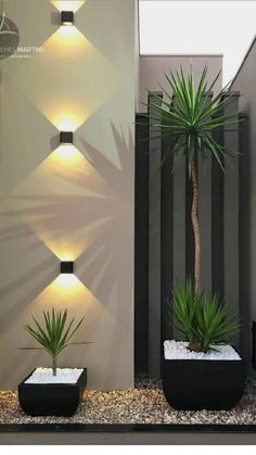 some plants are sitting in black planters on the side of a wall with lights