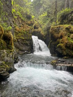 a small waterfall in the middle of a forest filled with rocks and mossy trees